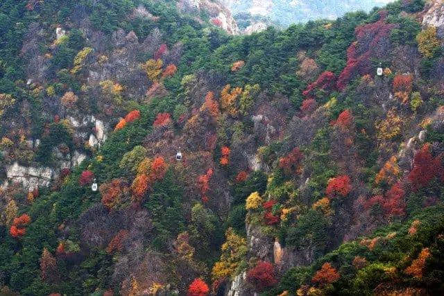 错峰旅游，最后两天，来这里领略最美泰安！