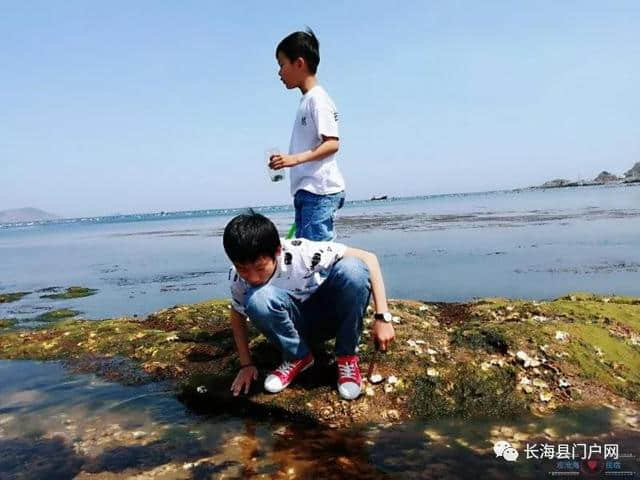 长海县海岛游推荐：獐子岛观沧海民宿