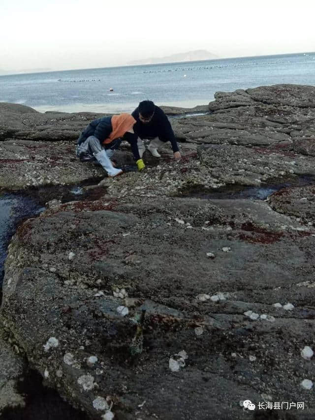 长海县海岛游推荐：獐子岛观沧海民宿