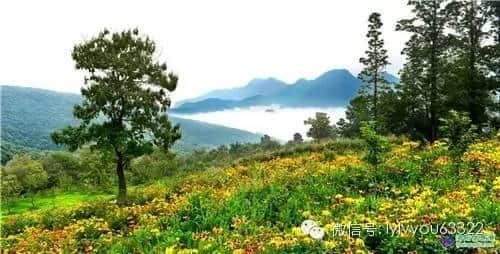 ７月１日起，持洛阳旅游年票每天每景区限进一次