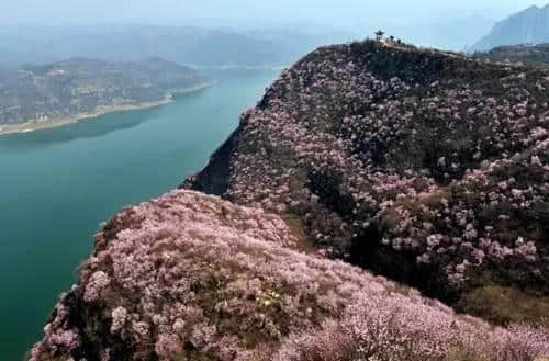 ７月１日起，持洛阳旅游年票每天每景区限进一次