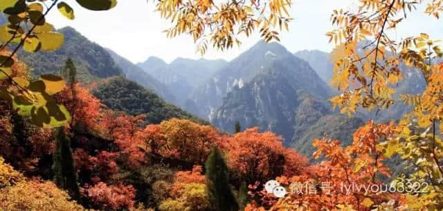 ７月１日起，持洛阳旅游年票每天每景区限进一次