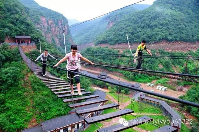 ７月１日起，持洛阳旅游年票每天每景区限进一次