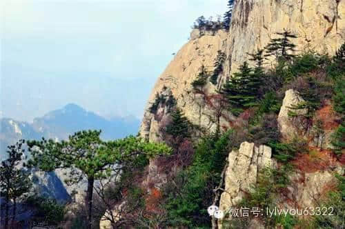 ７月１日起，持洛阳旅游年票每天每景区限进一次