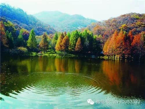 ７月１日起，持洛阳旅游年票每天每景区限进一次