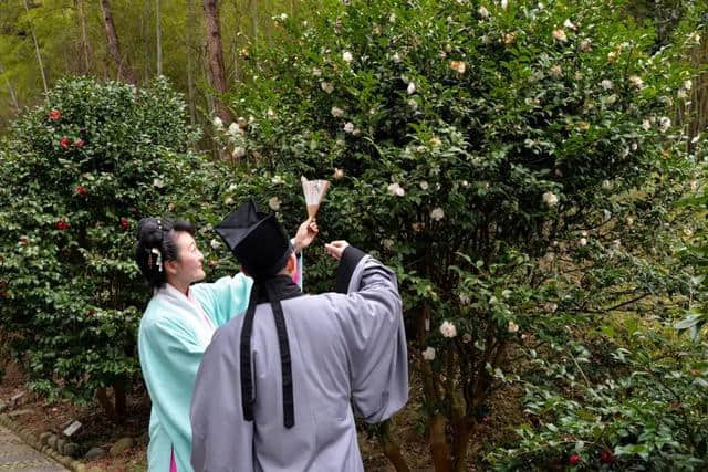 春节游玩好去处！乐满地茶花汉服文化节