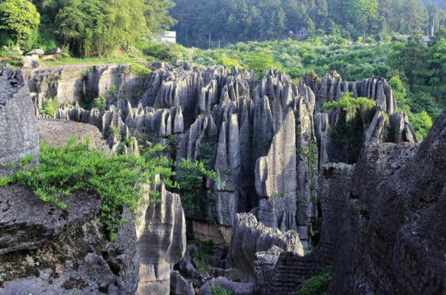 重庆万盛5大旅游景点，万盛石林，黑山谷，铜鼓滩漂流，有名景点