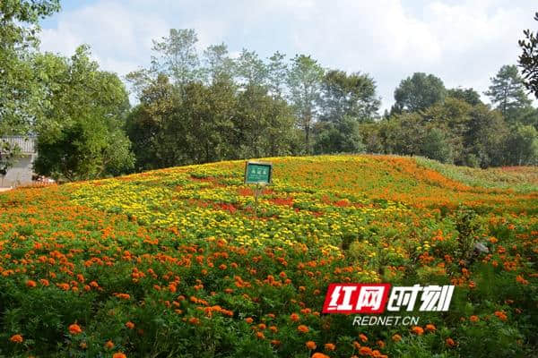 永州这11家景区被批准为国家3A级旅游景区 有你没去过的吗？