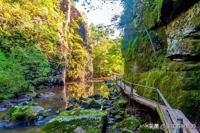 8月最佳旅行地推荐，过一个25℃的夏天