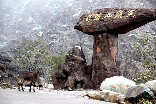 游客丨贺兰山岩画遗址公园冬季旅游优惠新鲜出炉啦！