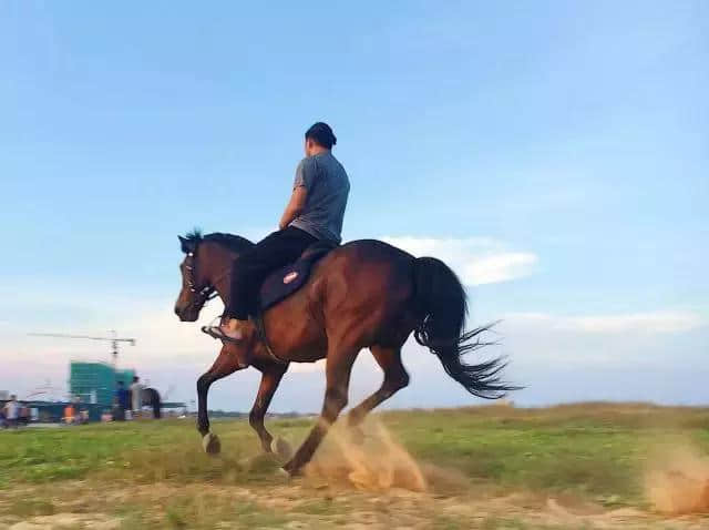 在汕尾红海湾骑马，是一种什么样的体验？