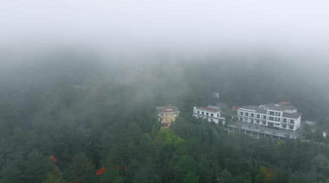 【重庆•黑山谷】山雾中的“桃源”圣地~春日踏青的好去处~