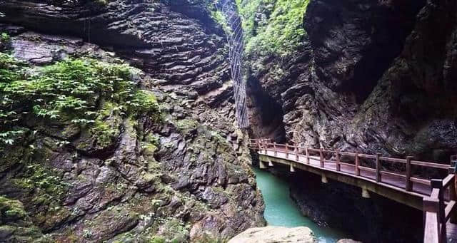 【重庆•黑山谷】山雾中的“桃源”圣地~春日踏青的好去处~