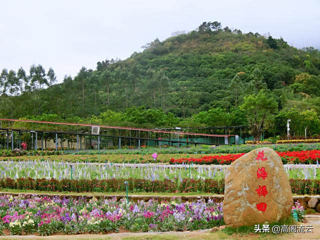 惠州旅游（8）：罗浮山下，那里花开主题公园，拍照走起