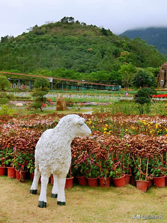 惠州旅游（8）：罗浮山下，那里花开主题公园，拍照走起