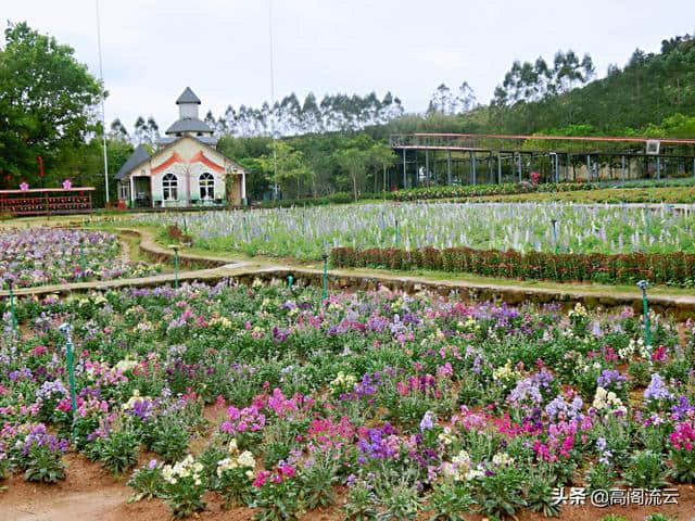 惠州旅游（8）：罗浮山下，那里花开主题公园，拍照走起