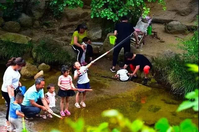 洛阳旅游年票再升值！这家4A景区藏不住了！门票、住宿、餐饮统统优惠！