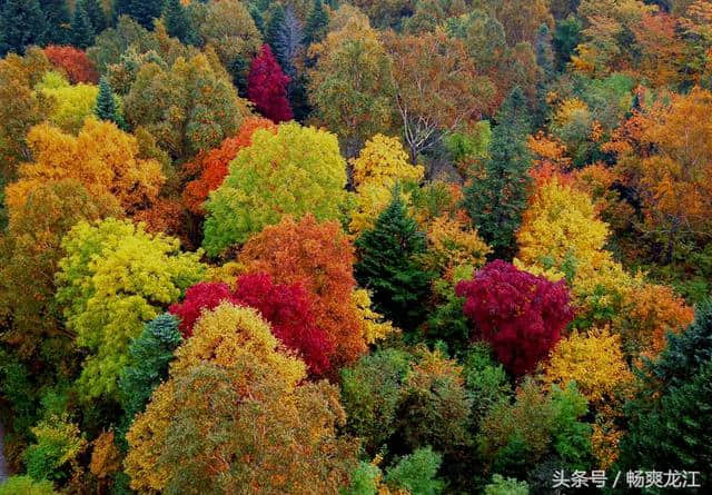 黑龙江旅游打造“旅游+短视频+直播+OTA”营销生态圈