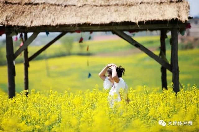 大连最美春天旅游路线发布了！快踏着春天的脚步出发吧！