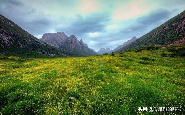 川西又一天堂秘境！花海泛滥，海子碧蓝，美到窒息却少有人知