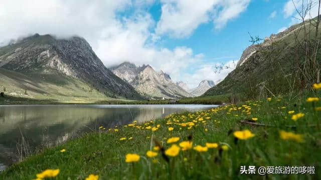 川西又一天堂秘境！花海泛滥，海子碧蓝，美到窒息却少有人知