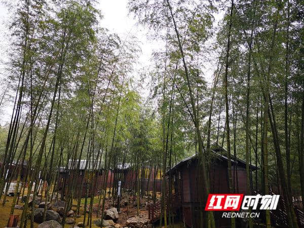 永州市首届网络文化节：网媒网友走进蓝山 体验旅游升温成果