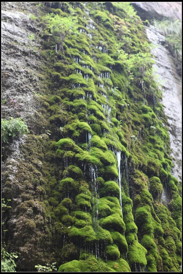 云台山风景名胜区游玩攻略