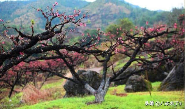 广东河源连平县三个值得一去的旅游景点，喜欢的不要错过了