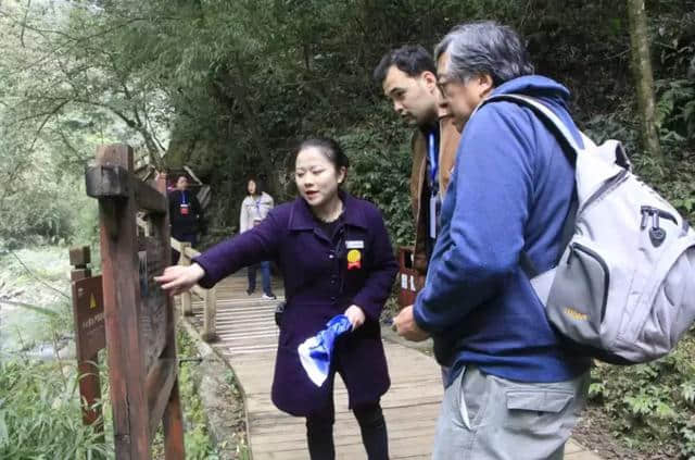 来自美国、马来西亚等国家及地区的国际旅行商游这样称赞万盛黑山谷