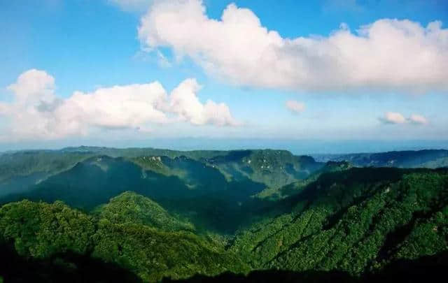 黄水九居：最美林深处，岫云独去闲