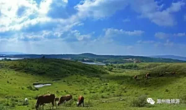 华东最大草场/安徽最佳风光牧场，就在滁州！你去过吗？