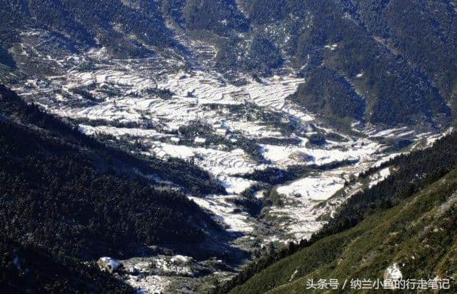 中国南方最美赏雪胜地 南岳衡山赏雪旅游攻略新鲜出炉 还不快来！