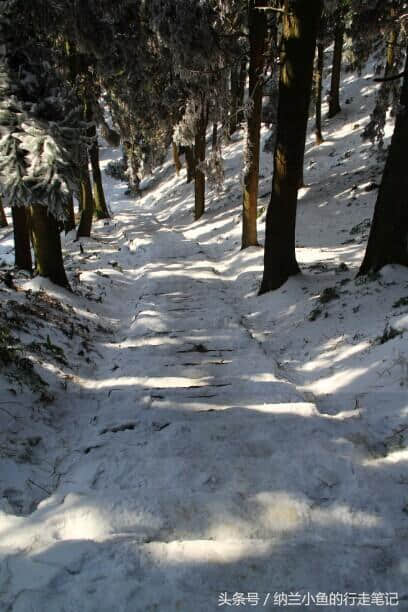 中国南方最美赏雪胜地 南岳衡山赏雪旅游攻略新鲜出炉 还不快来！