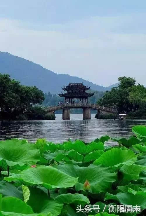 史上最全旅行攻略大盘点，第一个就美到泪目！衡阳的旅行达人们快收藏好！