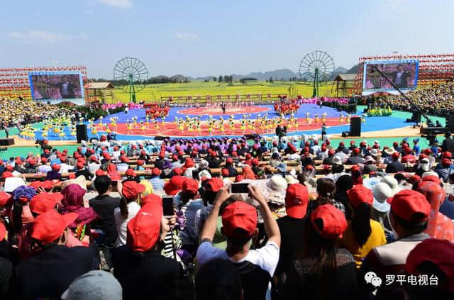 2019年，罗平又有一大波精彩旅游节庆活动来袭，你绝对无法抗拒！