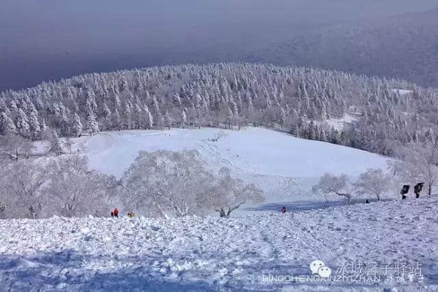 黑龙江2016年冬季旅游推介会在京召开，推出五条精品线路