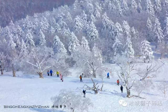 黑龙江2016年冬季旅游推介会在京召开，推出五条精品线路