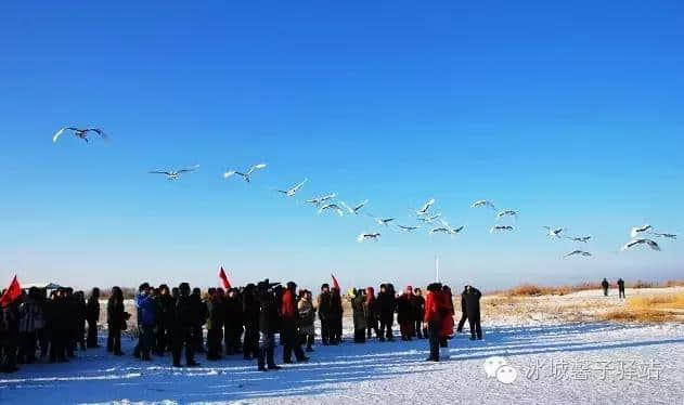 黑龙江2016年冬季旅游推介会在京召开，推出五条精品线路