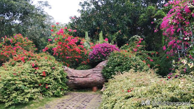 春节景区到处人挤得缺氧，送你一份厦门避人旅游攻略