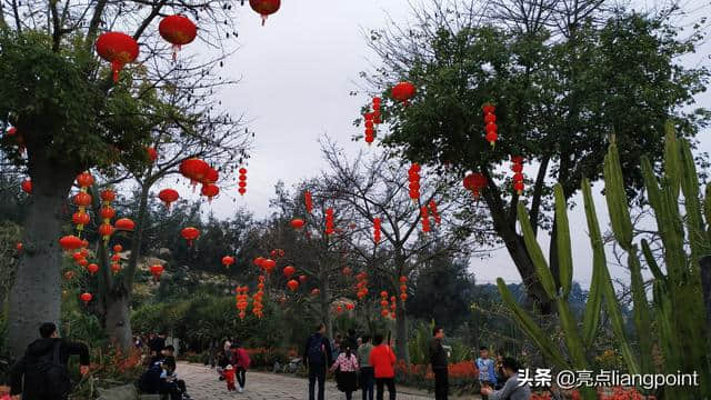 春节景区到处人挤得缺氧，送你一份厦门避人旅游攻略