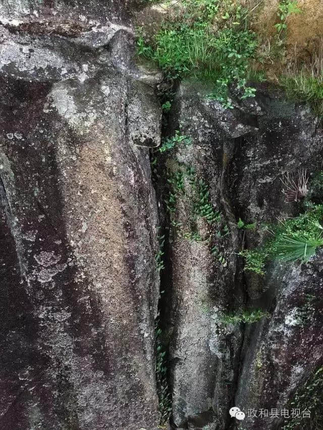 「走遍乡村」原生态旅游胜地——福建政和县镇前镇半源村