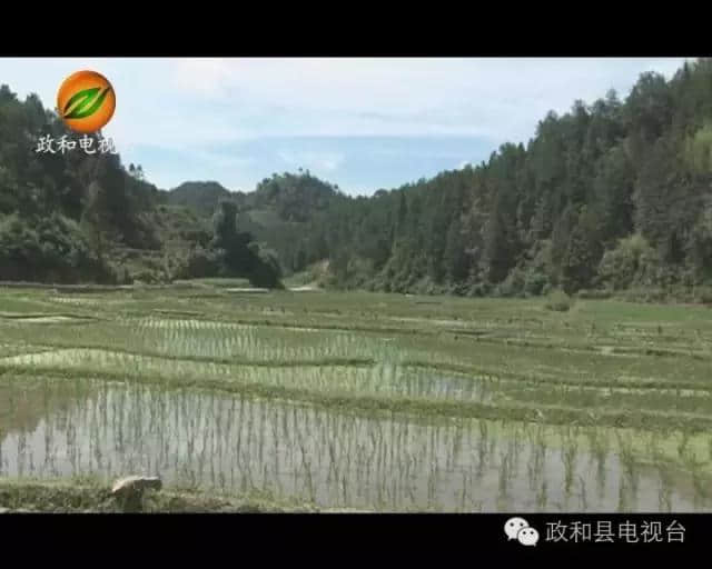 「走遍乡村」原生态旅游胜地——福建政和县镇前镇半源村