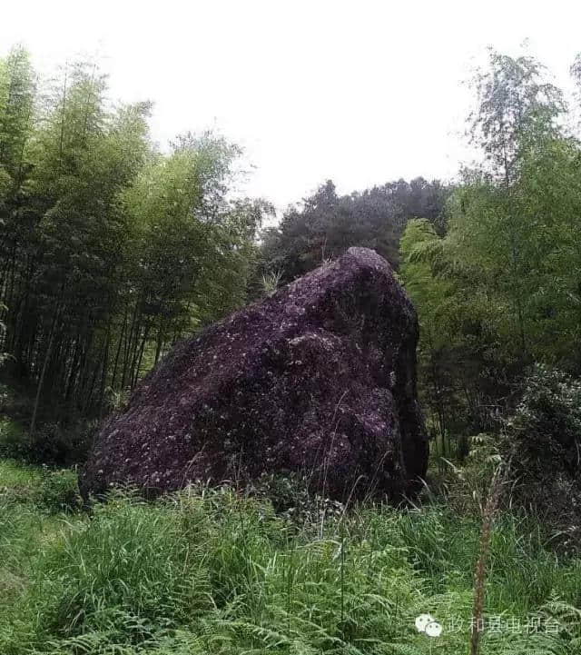 「走遍乡村」原生态旅游胜地——福建政和县镇前镇半源村