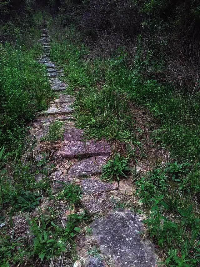 「走遍乡村」原生态旅游胜地——福建政和县镇前镇半源村