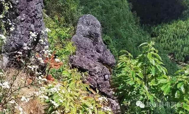 「走遍乡村」原生态旅游胜地——福建政和县镇前镇半源村