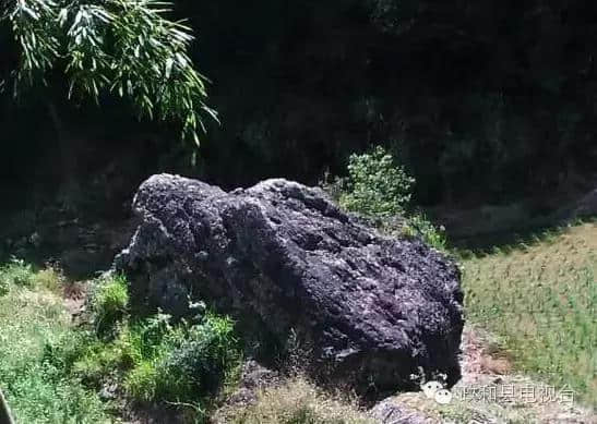 「走遍乡村」原生态旅游胜地——福建政和县镇前镇半源村