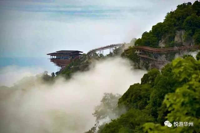 「华州旅游」夏日里的绿色休闲之都，等你来撩！