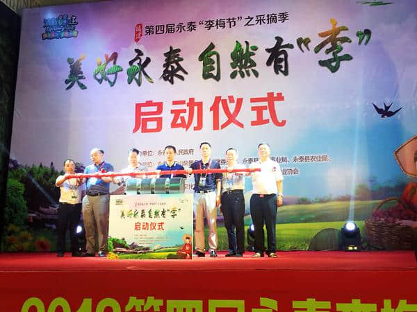 助农户增收，促旅游发展，福建福州永泰县启动第四届李梅采摘节