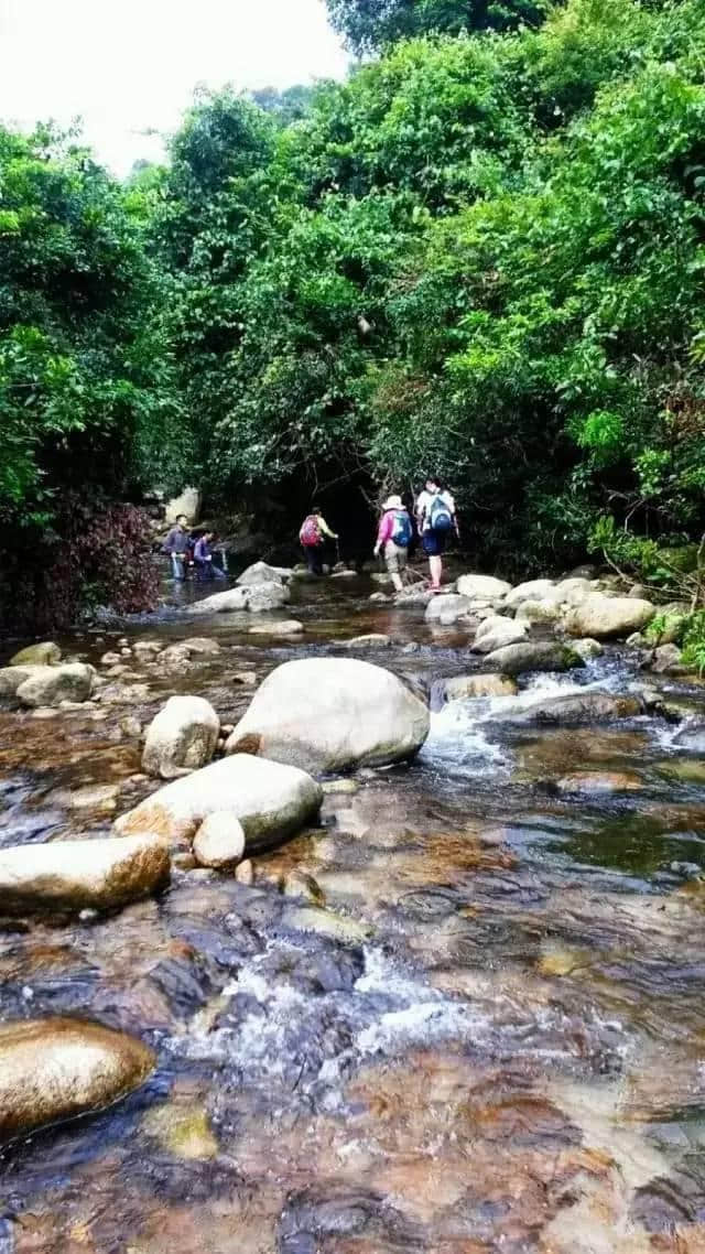 村村是画，步步皆景，这6座小城，每一口空气都是负离子！