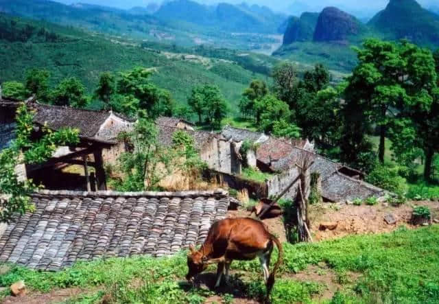 村村是画，步步皆景，这6座小城，每一口空气都是负离子！